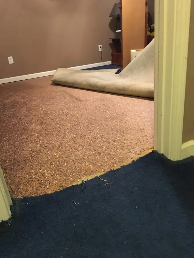 Carpet pad removal revealing water damage during Water Mitigation Services in Oshtemo