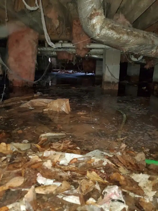 Crawl space flood assessment for Leak Detection & Repair in Oshtemo